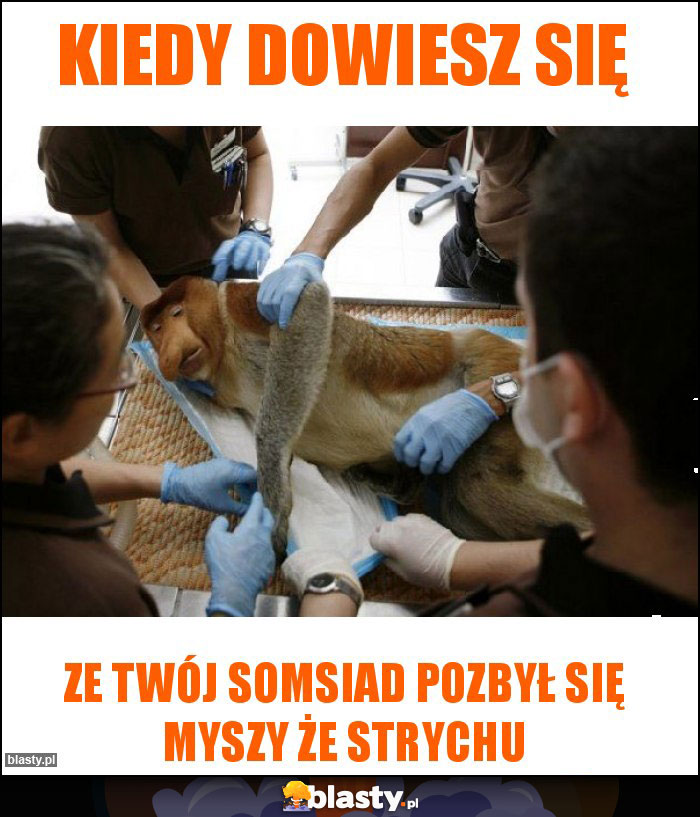 Kiedy dowiesz się