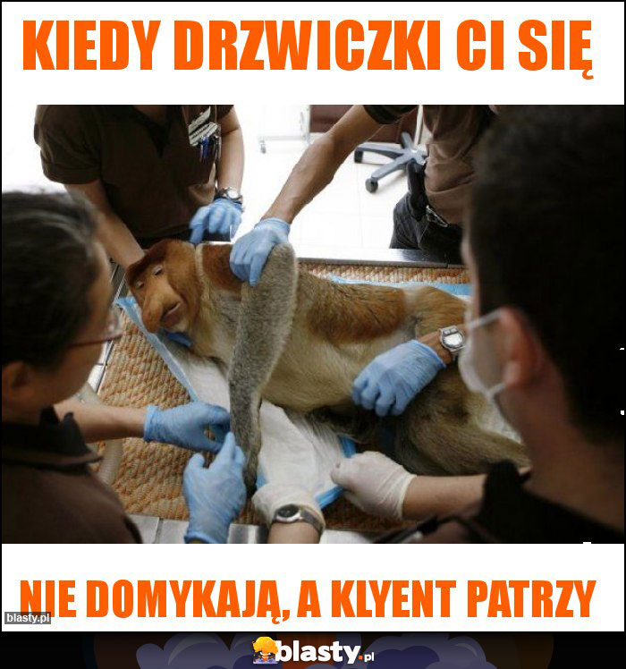 Kiedy drzwiczki ci się