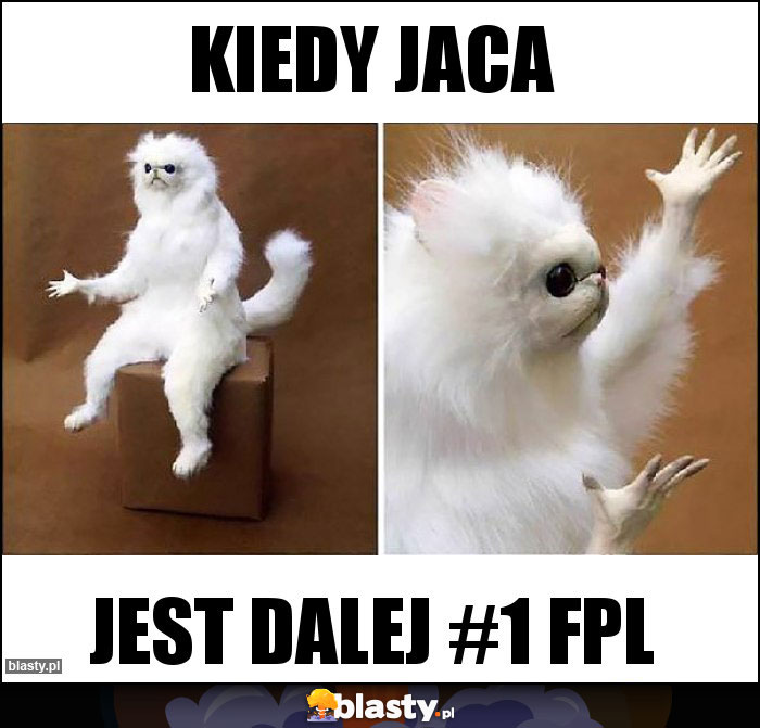 Kiedy jaca