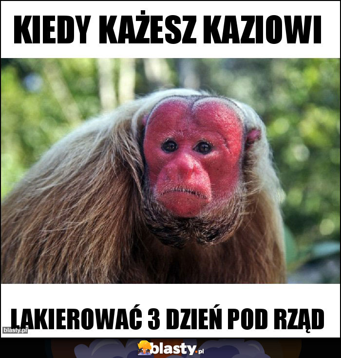 Kiedy każesz Kaziowi