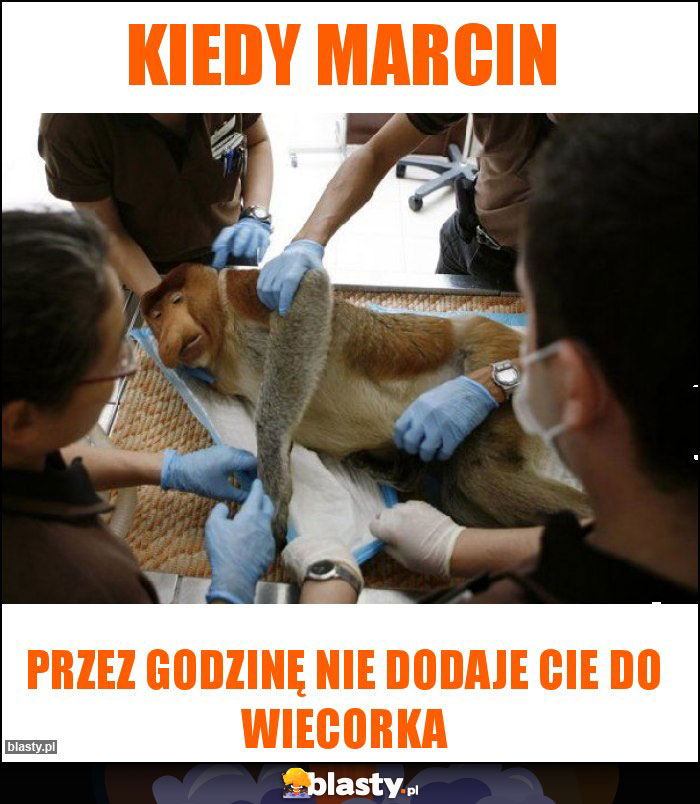 Kiedy marcin