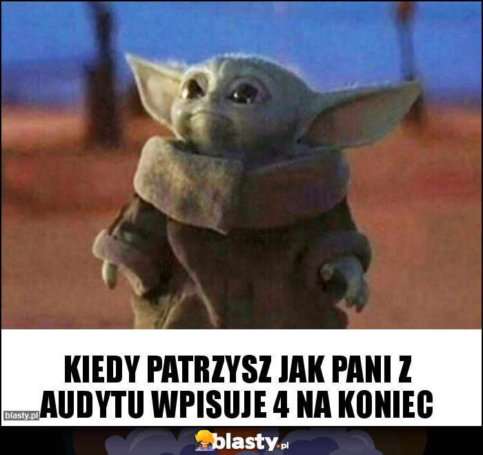 Kiedy patrzysz jak pani z audytu wpisuje 4 na koniec