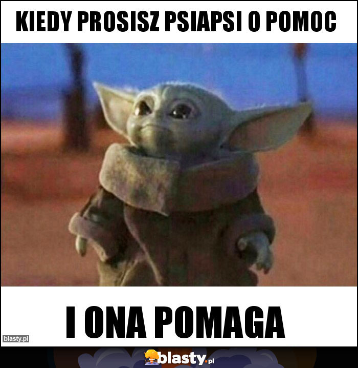 Kiedy prosisz psiapsi o pomoc