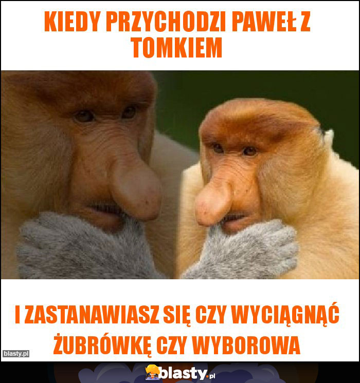 Kiedy przychodzi Paweł z Tomkiem