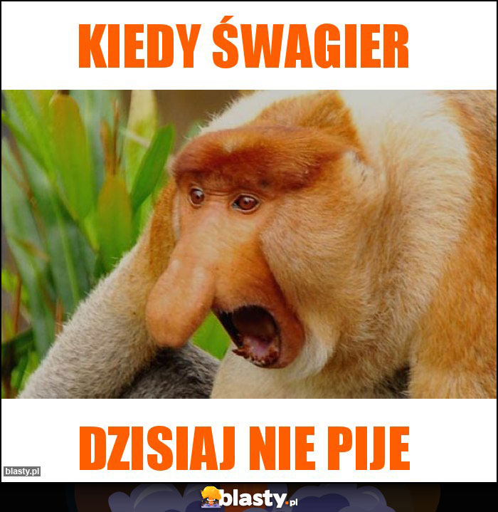 Kiedy śwagier