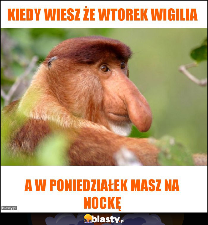 Kiedy wiesz że wtorek Wigilia