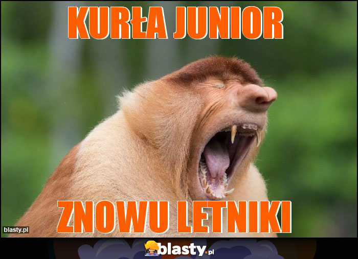 Kurła Junior