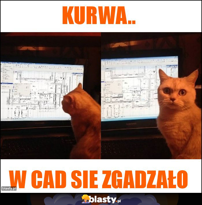 Kurwa..