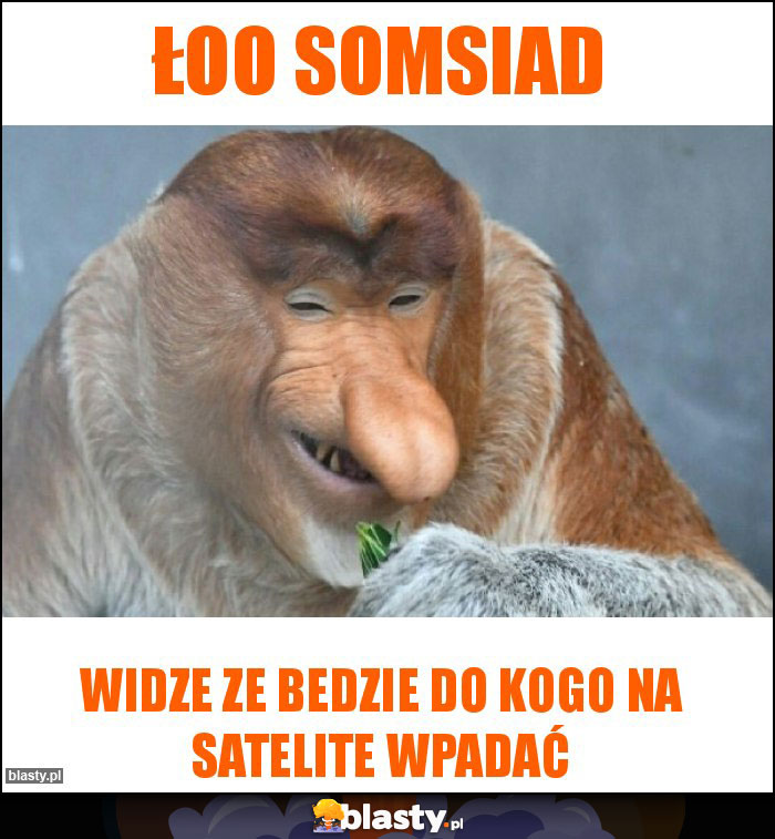 Łoo somsiad