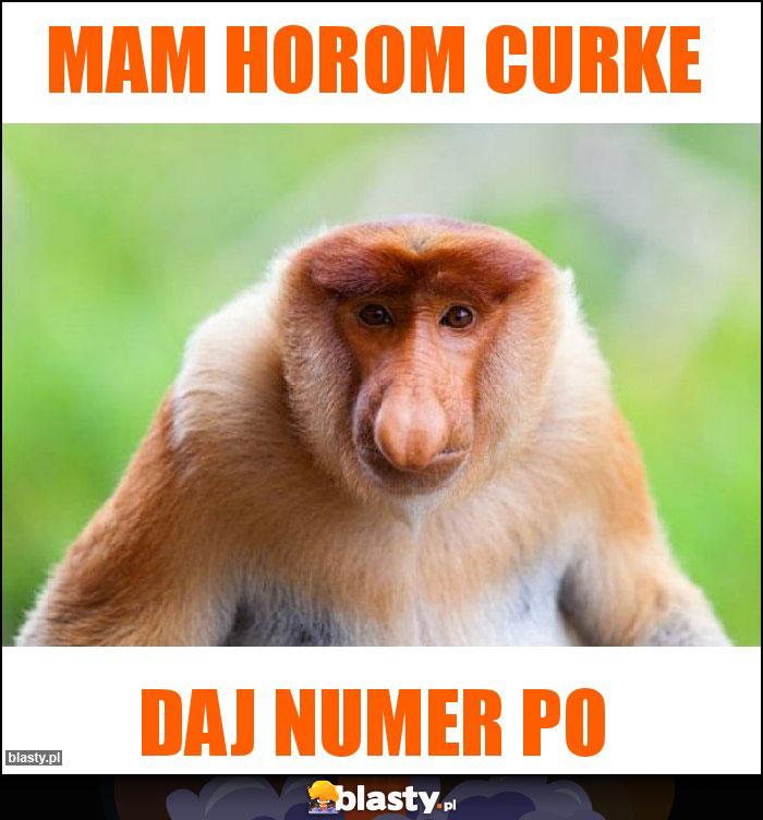 Mam horom curke