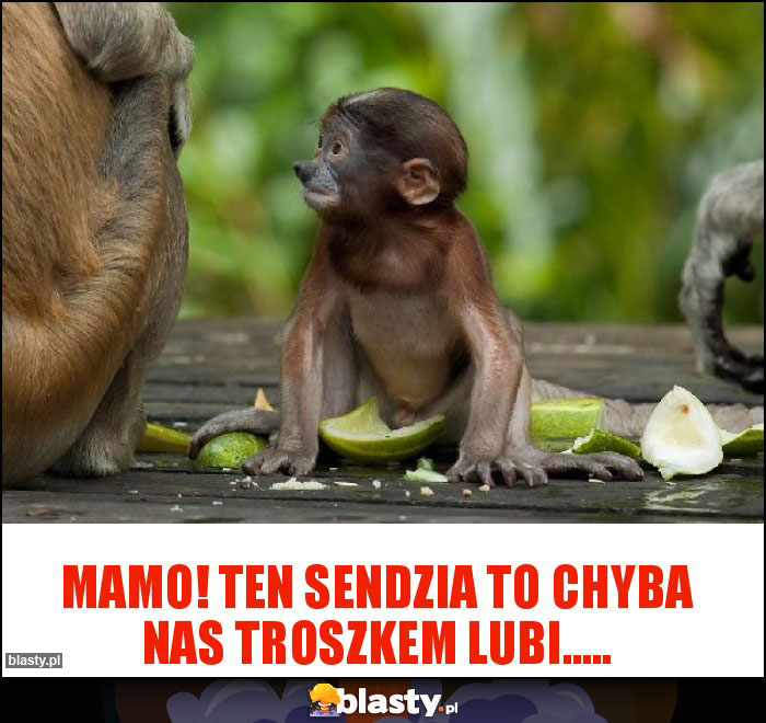 Mamo! Ten sendzia to chyba nas troszkem lubi.....