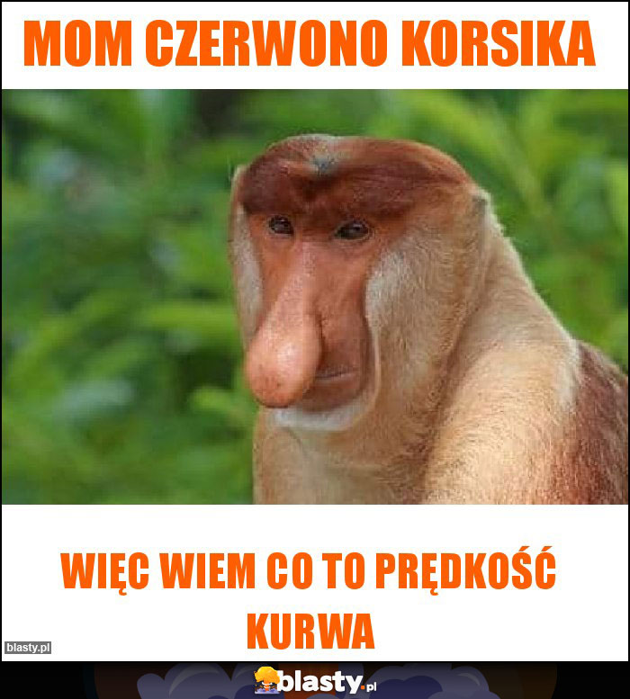 MOm czerwono korsika