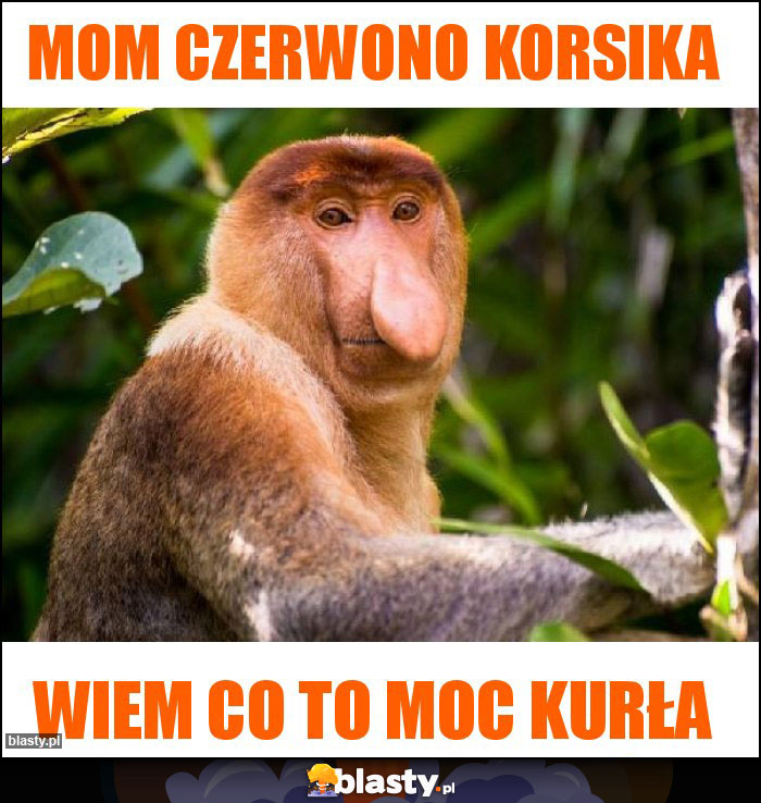 Mom czerwono korsika