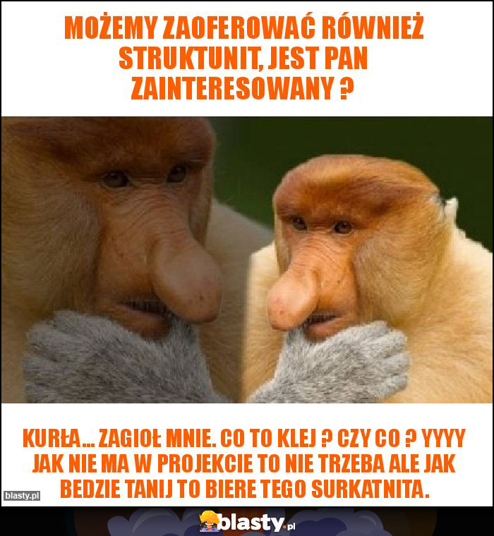 Możemy zaoferować również struktunit, jest Pan zainteresowany ?