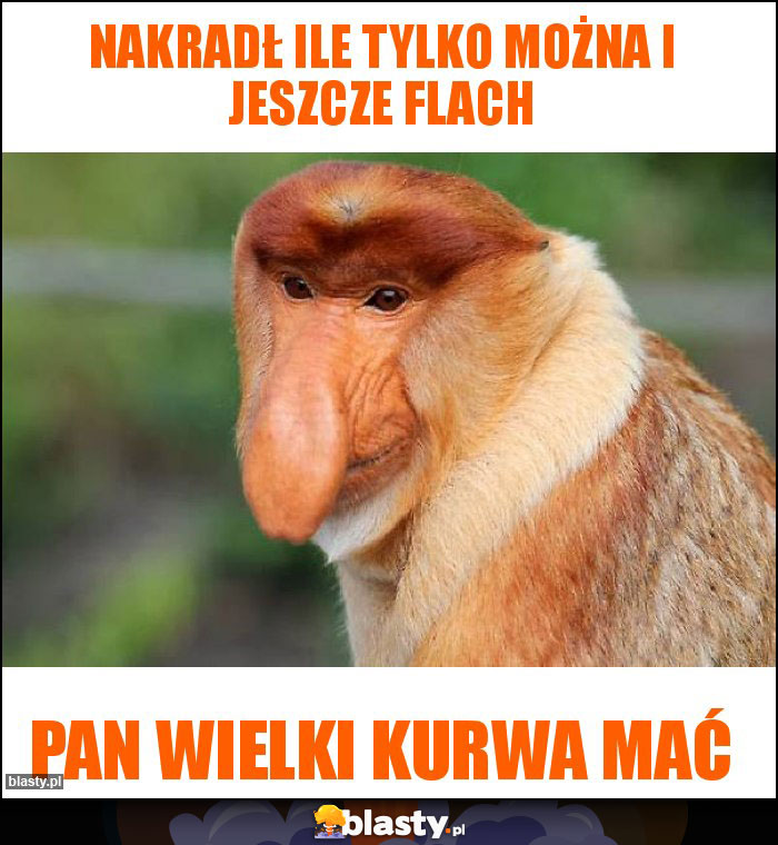 nakradł ile tylko można i jeszcze flach