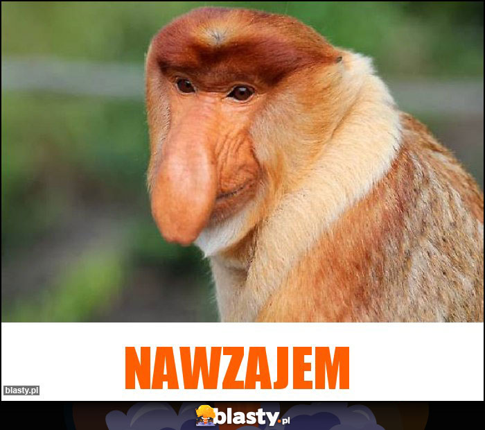 Nawzajem