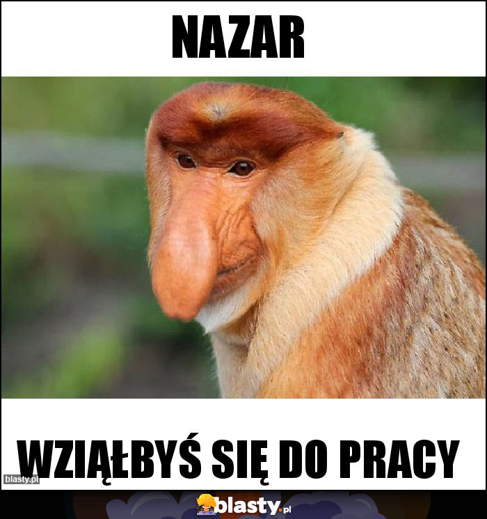 NAZAR