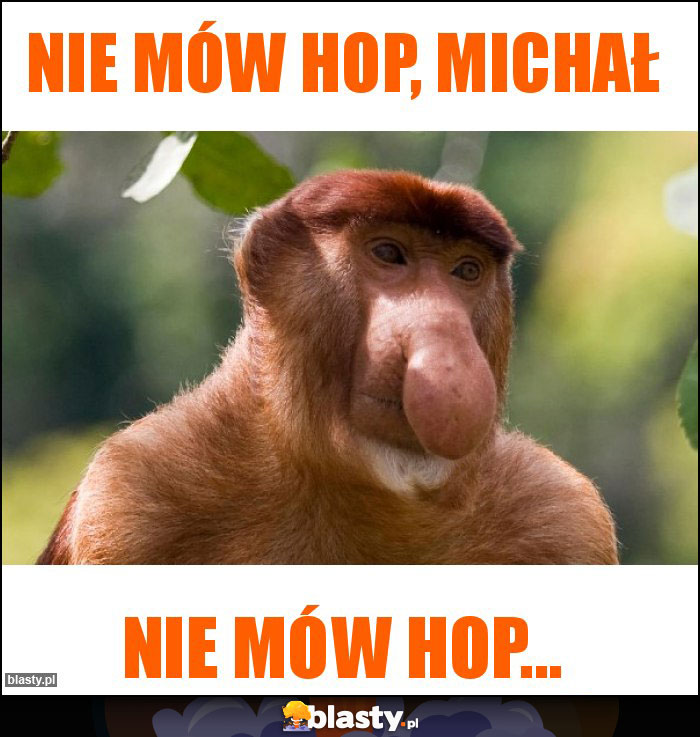 nie mów hop, Michał