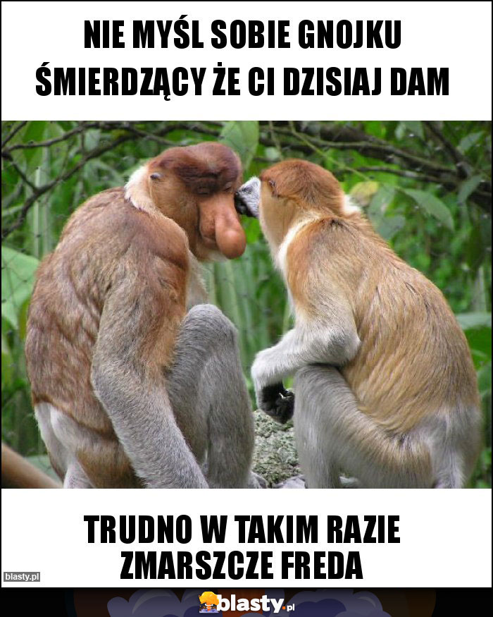 Nie myśl sobie gnojku śmierdzący że Ci dzisiaj dam