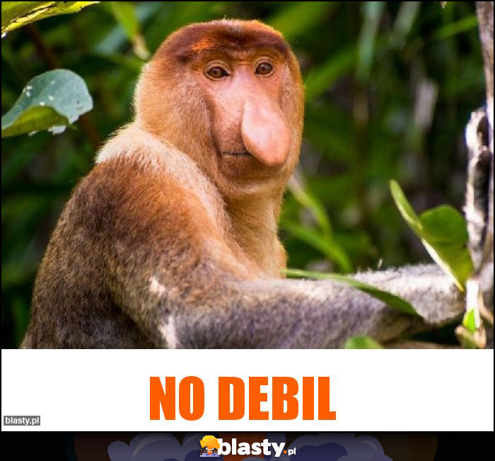 No debil