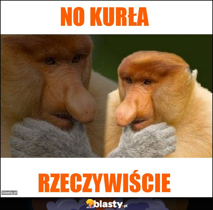 No kurła