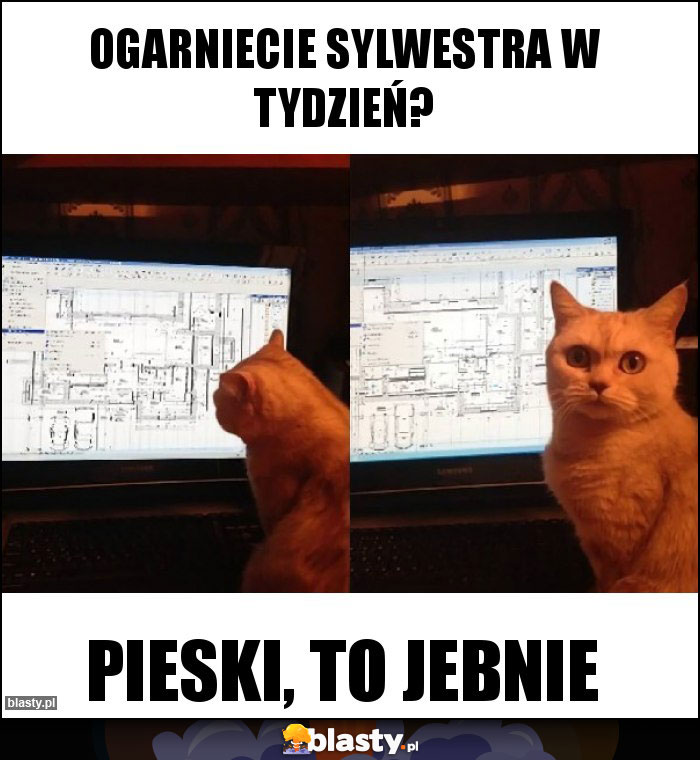 Ogarniecie sylwestra w tydzień?