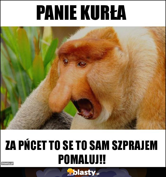 Panie Kurła