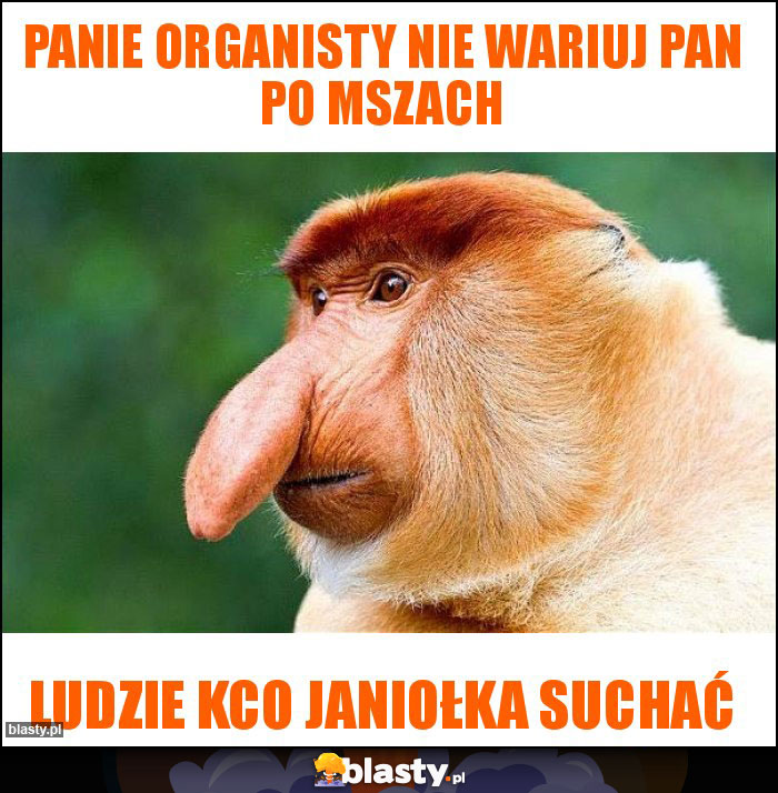 PANIE ORGANISTY NIE WARIUJ PAN PO MSZACH