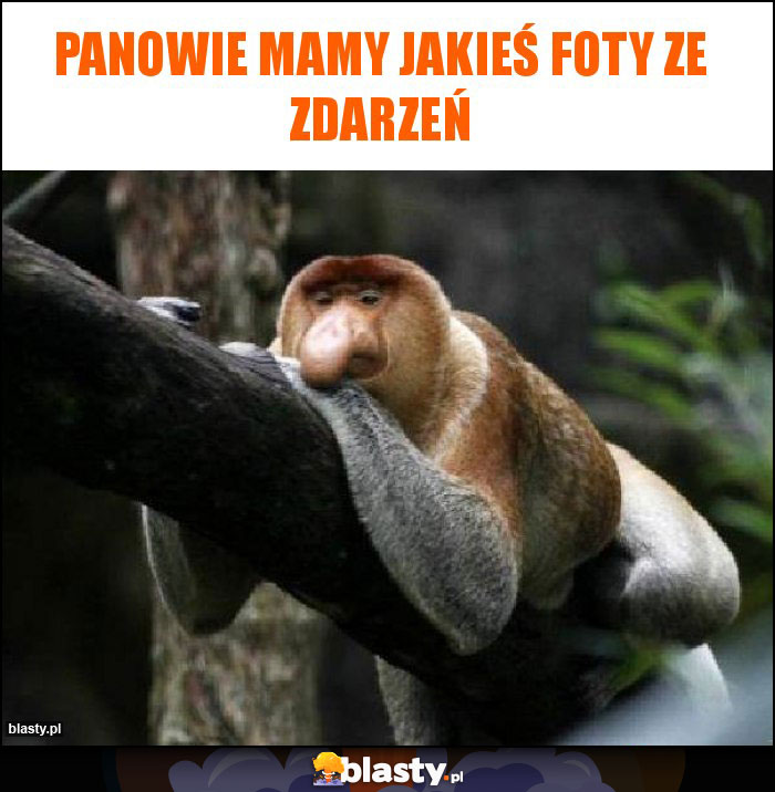 Panowie mamy jakieś foty ze zdarzeń