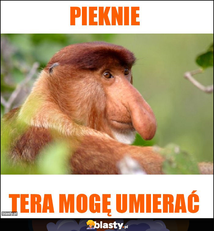 Pieknie