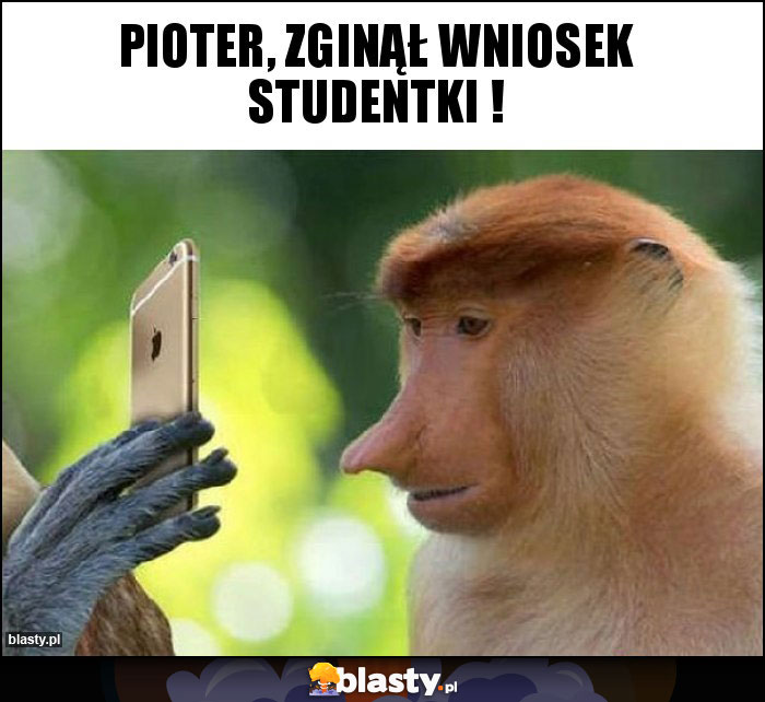 Pioter, zginął wniosek studentki !