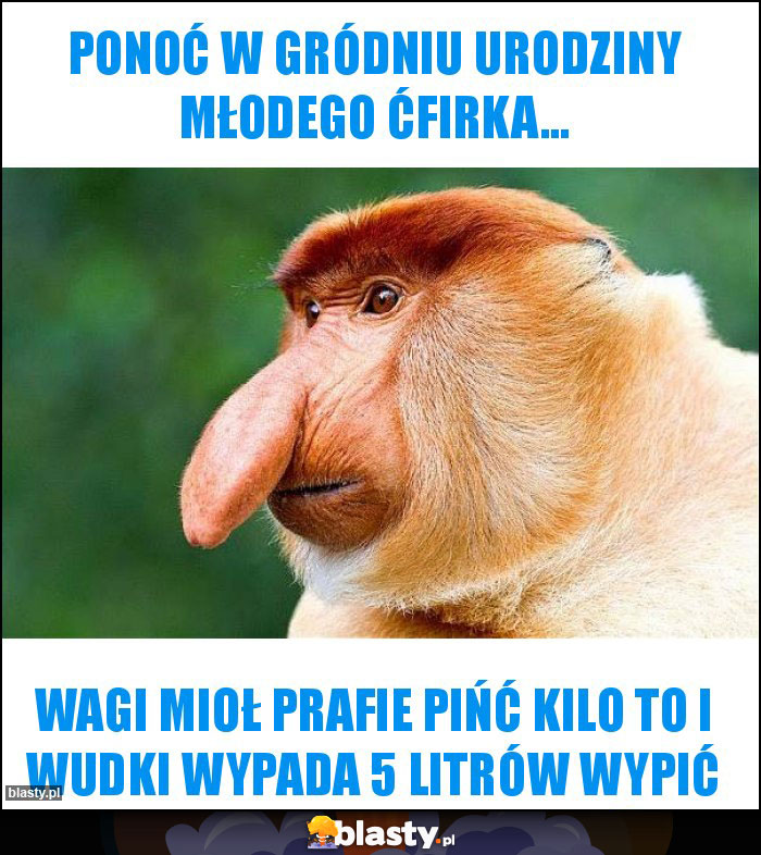 Ponoć w gródniu urodziny Młodego Ćfirka...