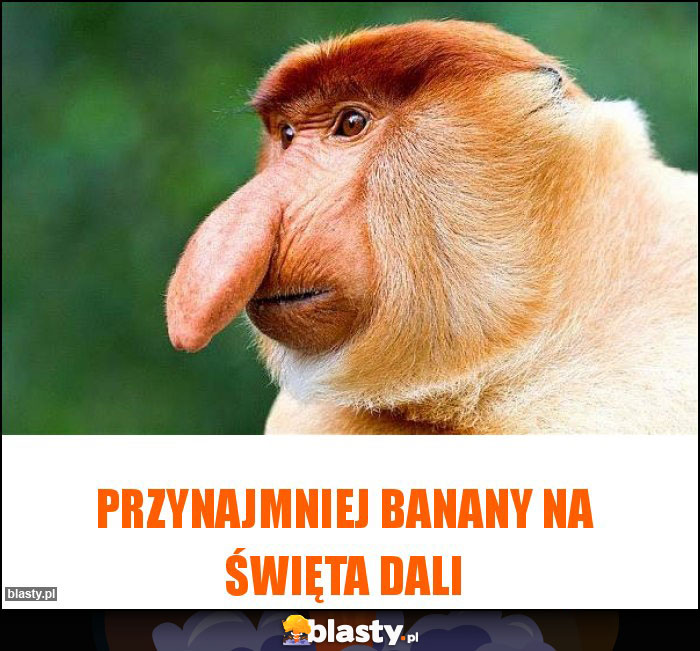 Przynajmniej banany na święta dali