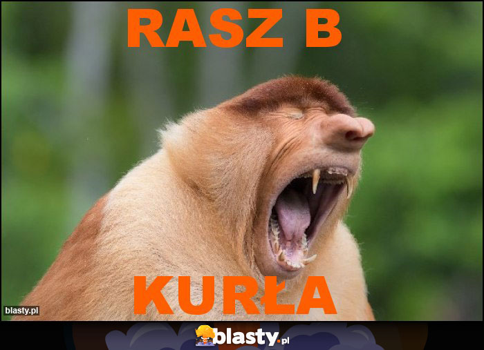 RASZ B