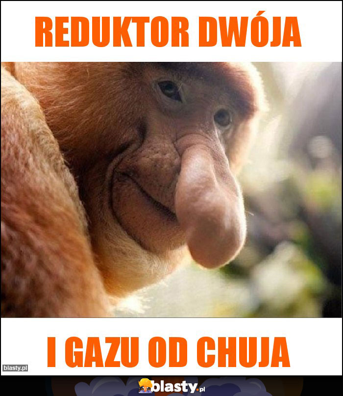 Reduktor dwója