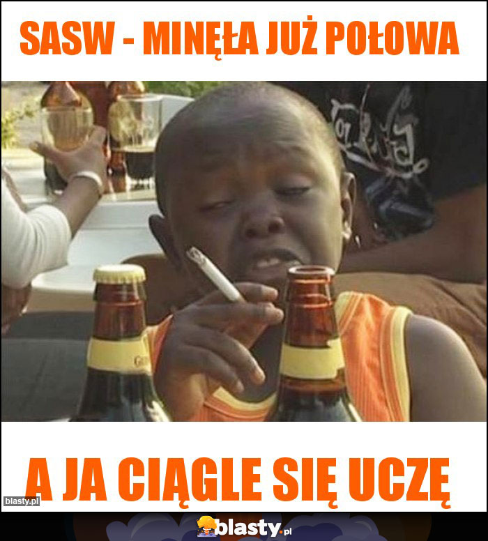 Sasw - minęła już połowa