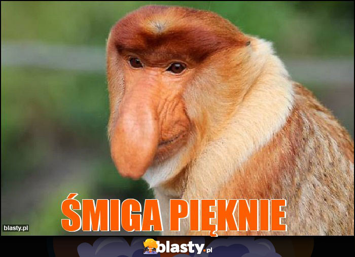 ŚMIGA PIĘKNIE