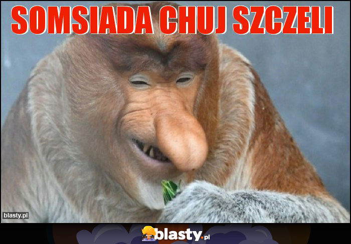 SOMSIADA CHUJ SZCZELI