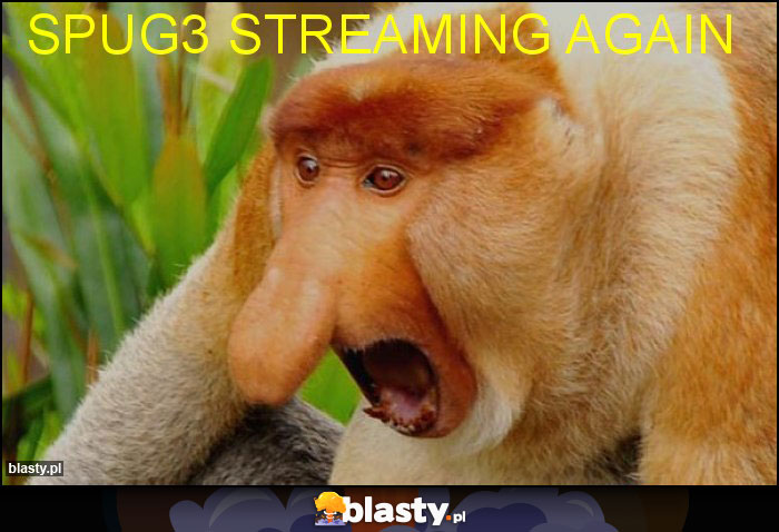 SpuG3 STREAMING AGAIN