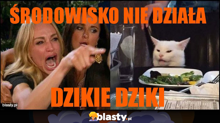 Środowisko nie działa