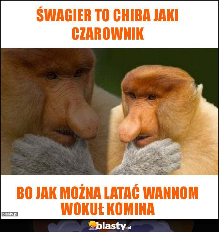 śwagier to chiba jaki czarownik