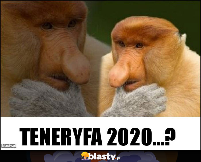 Teneryfa 2020...?