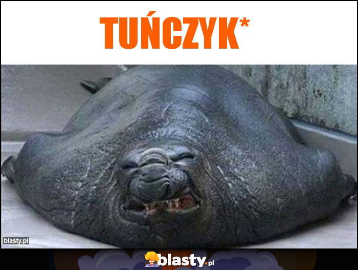 Tuńczyk*