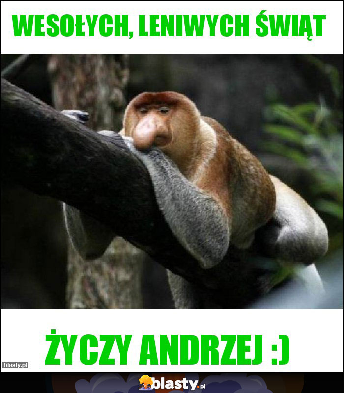 Wesołych, leniwych świąt