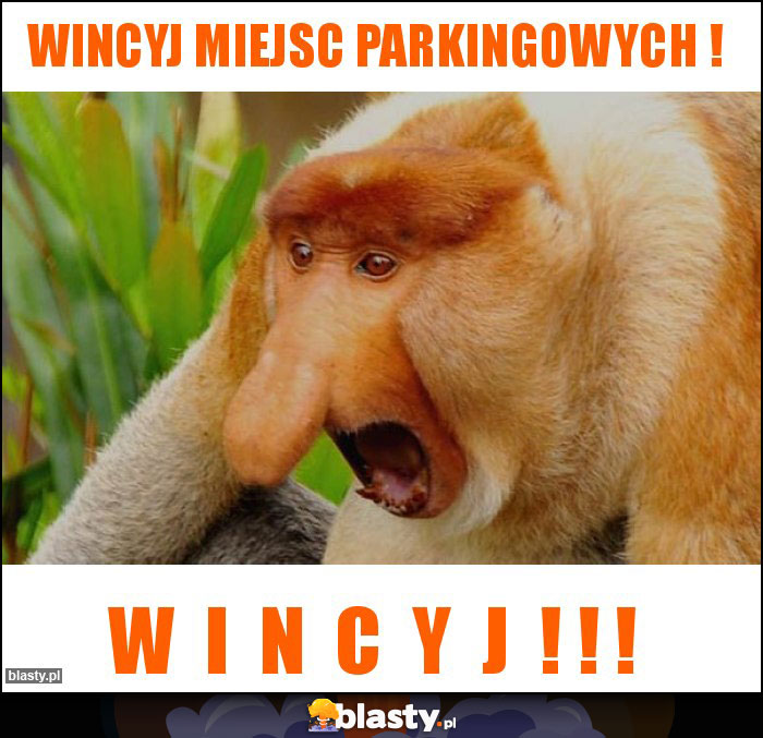 WINCYJ MIEJSC PARKINGOWYCH !