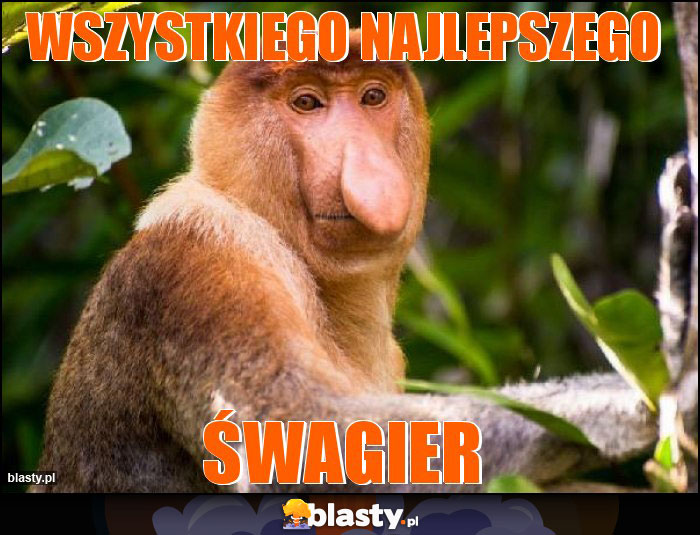 Wszystkiego najlepszego