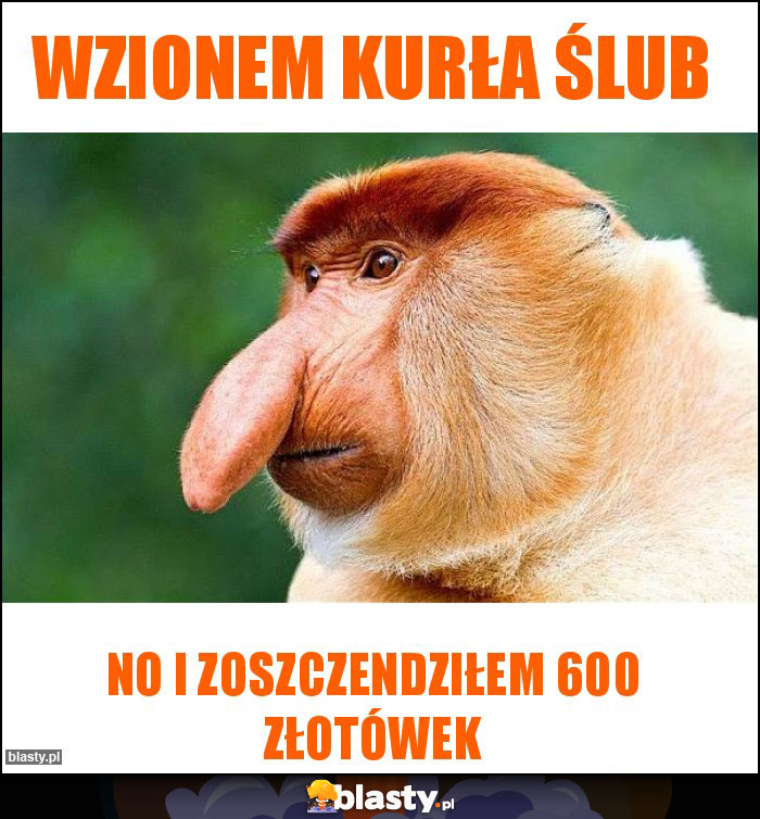 Wzionem kurła ślub