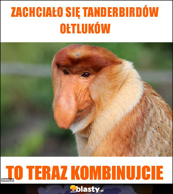 Zachciało się tanderbirdów ołtluków