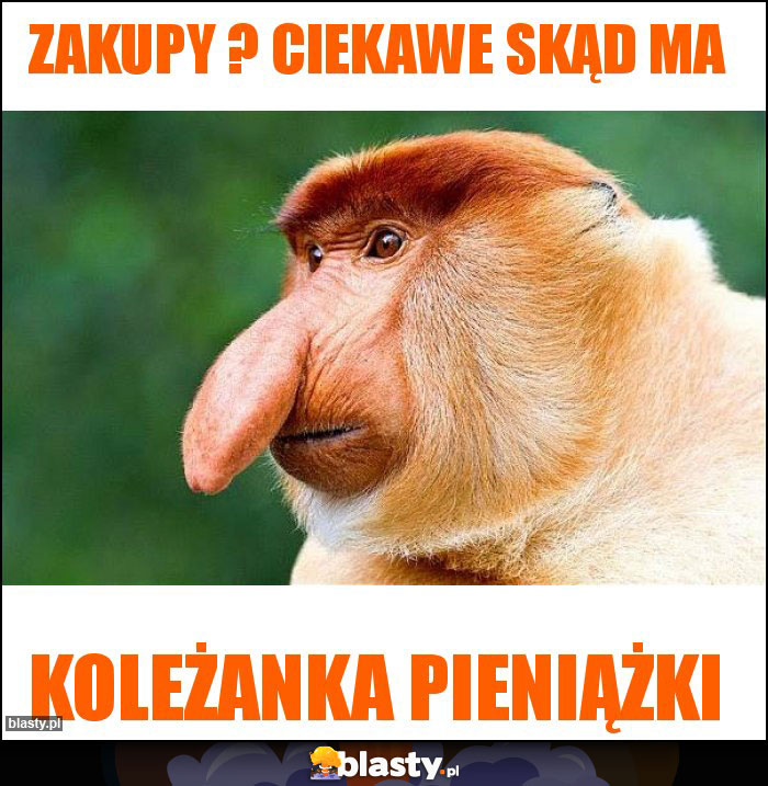 Zakupy ? Ciekawe skąd ma