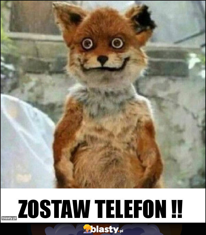 Zostaw telefon !!